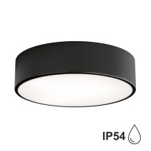 Stropna svjetiljka za kupaonicu CLEO 2xE27/24W/230V pr. 30 cm crna IP54