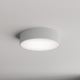 Stropna svjetiljka za kupaonicu CLEO 2xE27/24W/230V pr. 30 cm siva IP54