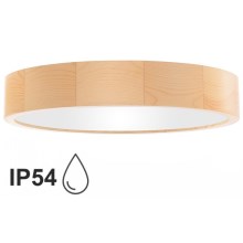 Stropna svjetiljka za kupaonicu CLEO 4xE27/24W/230V IP54 pr. 47,5 cm bor