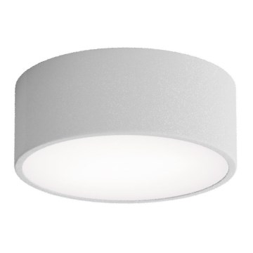 Stropna svjetiljka za kupaonicu CLEO s ugrađenim senzorom, 1x E27/24W/230V, Ø 20 cm, IP54, siva