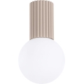 Stropna svjetiljka za kupaonicu HALO 1xG9/8W/230V pr. 12 cm IP44 bež