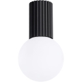 Stropna svjetiljka za kupaonicu HALO 1xG9/8W/230V pr. 12 cm IP44 crna