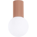 Stropna svjetiljka za kupaonicu HALO 1xG9/8W/230V pr. 12 cm IP44 smeđa
