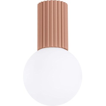 Stropna svjetiljka za kupaonicu HALO 1xG9/8W/230V pr. 12 cm IP44 smeđa