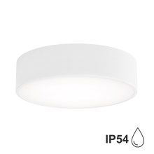Stropna svjetiljka za kupaonicu sa senzorom CLEO 2xE27/48W/230V pr. 30 cm bijela IP54