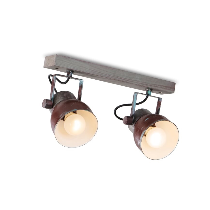 Stropni reflektor VIANA 2xE27/60W/230V