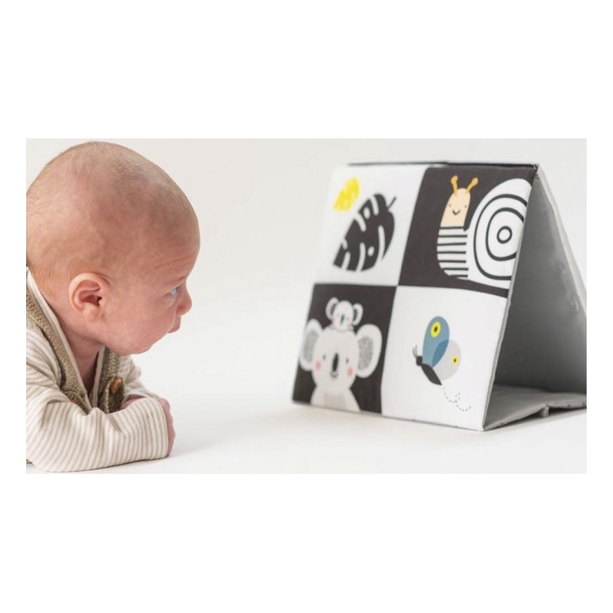 Taf Toys - Dječja tekstilna knjiga s ogledalom crna