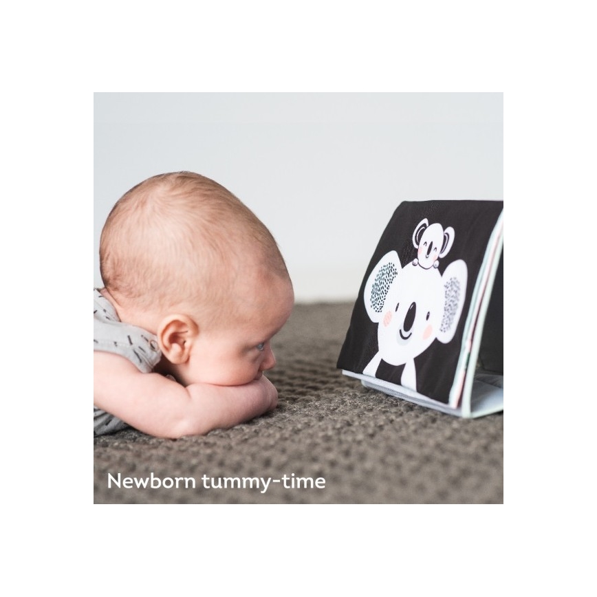 Taf Toys - Dječja tekstilna knjiga s ogledalom koala