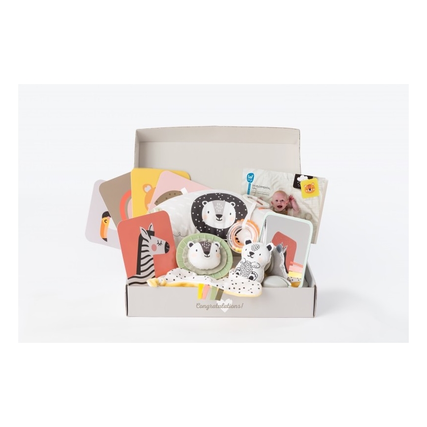Taf Toys - Poklon kutija HELLO BABY