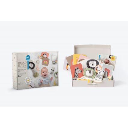 Taf Toys - Poklon kutija HELLO BABY