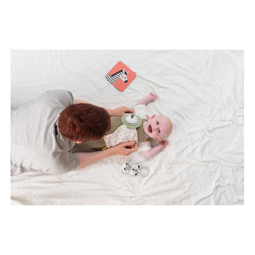 Taf Toys - Poklon kutija HELLO BABY