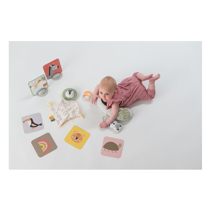 Taf Toys - Poklon kutija HELLO BABY