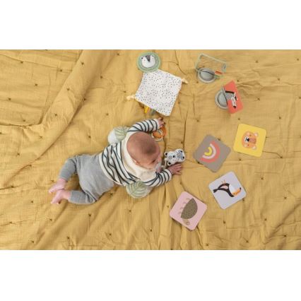 Taf Toys - Poklon kutija HELLO BABY