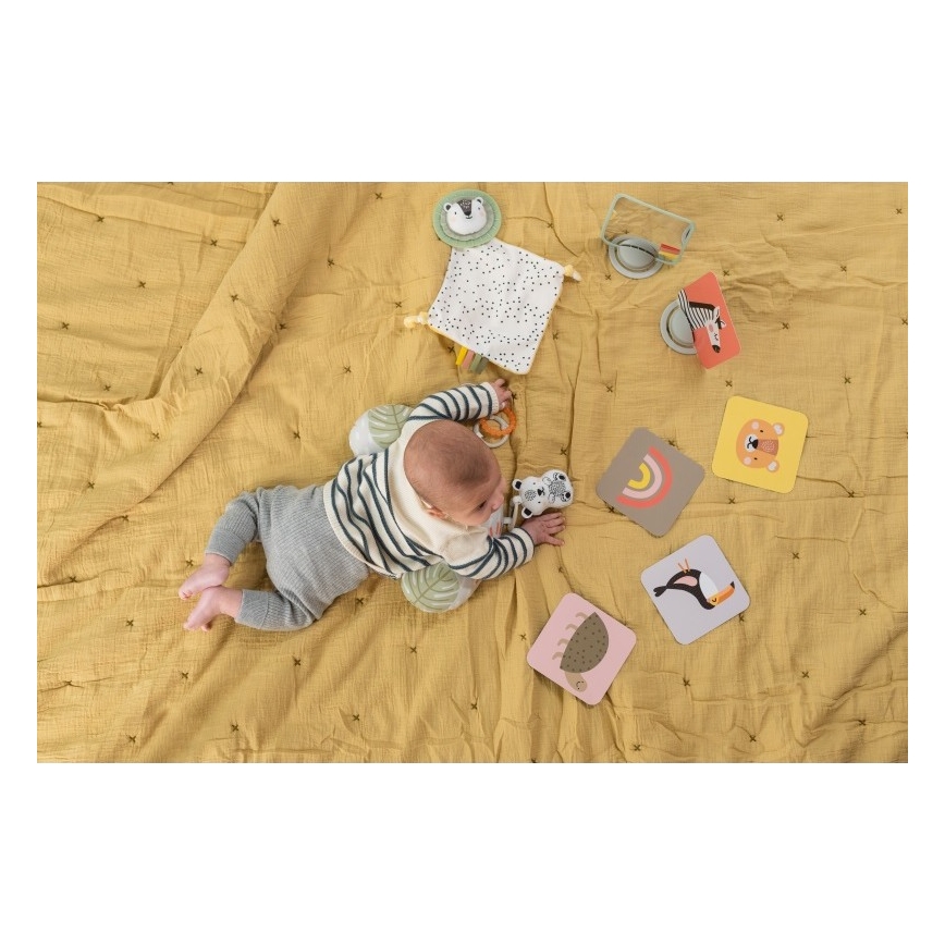 Taf Toys - Poklon kutija HELLO BABY