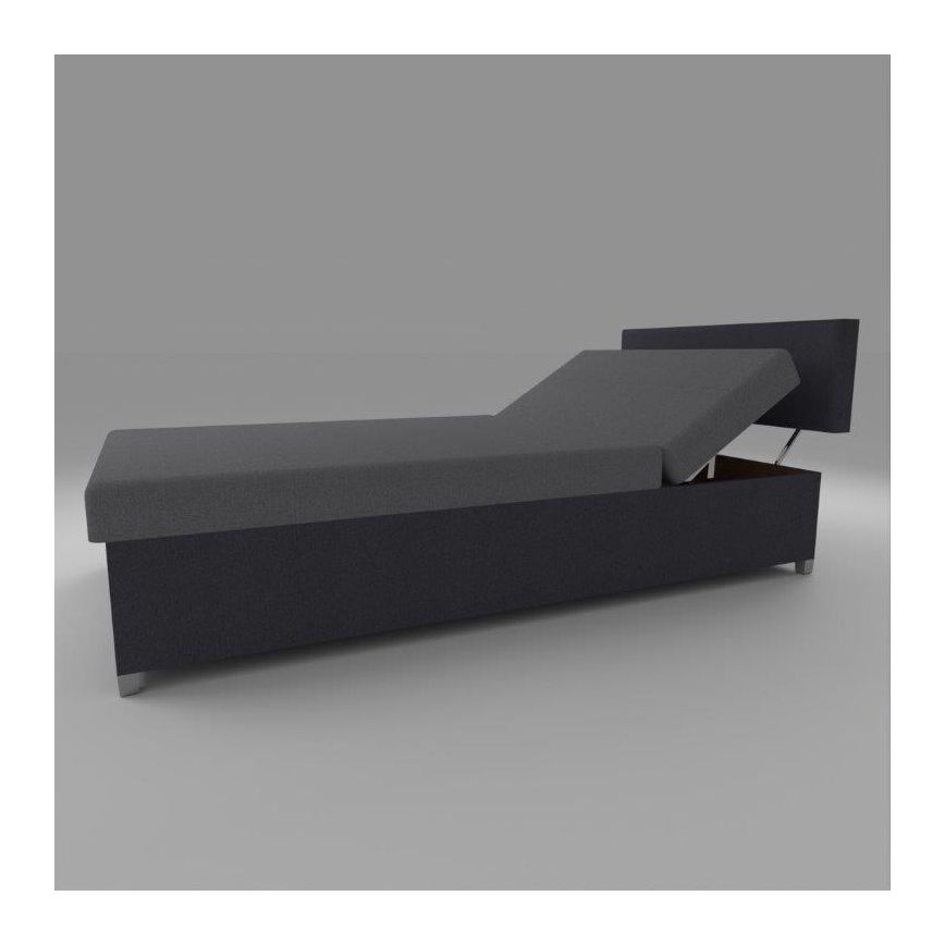 Tapecirani ležaj s podesivim naslonom i spremištem DALLAS 108x205 cm siva/antracit