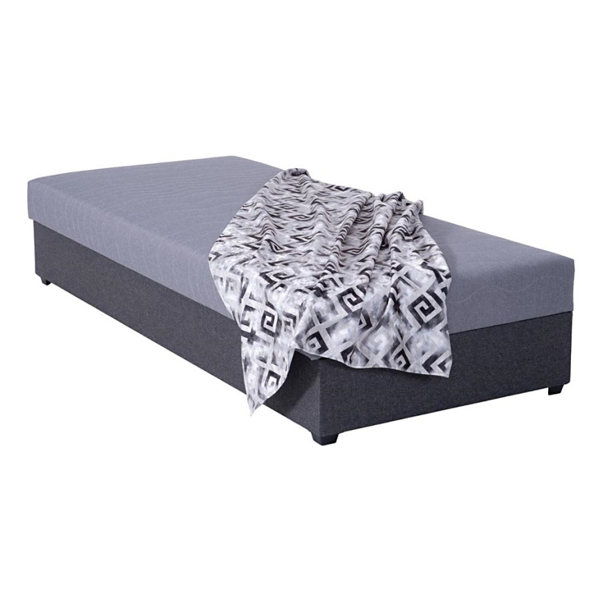Tapecirani ležaj s spremištem JACOB XL nosivost 130 kg 90x200 cm sivi