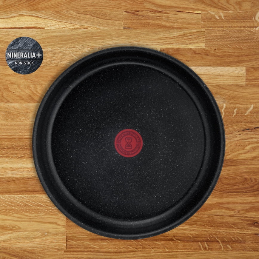 Tefal - 13-dijelni set posuđa INGENIO PERFECT COOK
