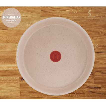 Tefal - 17-dijelni set posuđa INGENIO DELIGHT