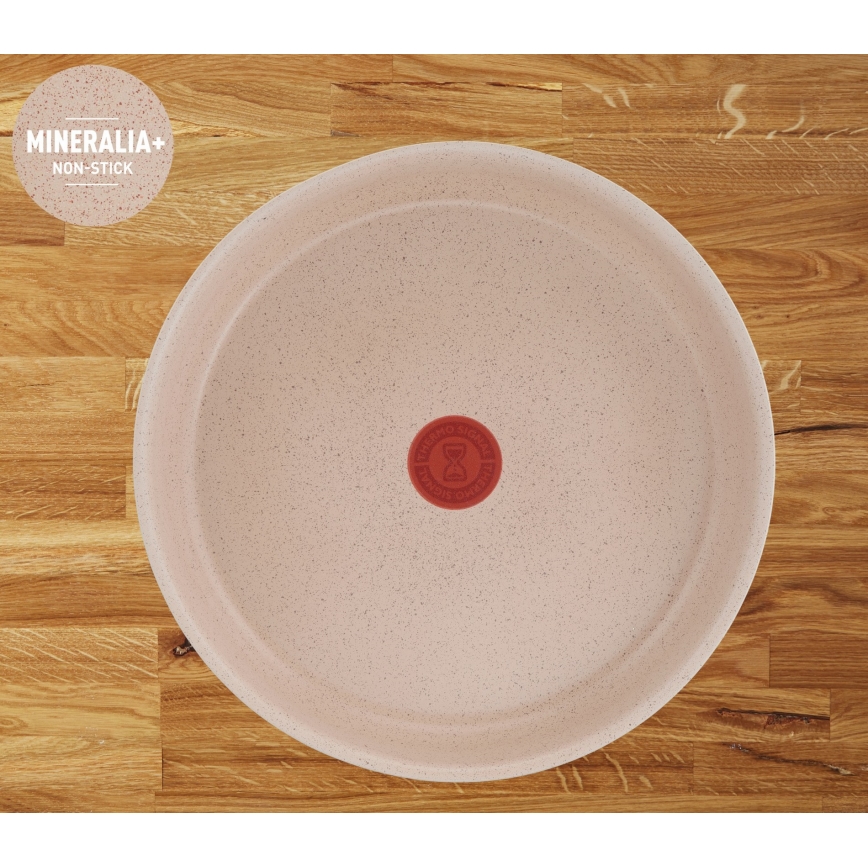 Tefal - 17-dijelni set posuđa INGENIO DELIGHT