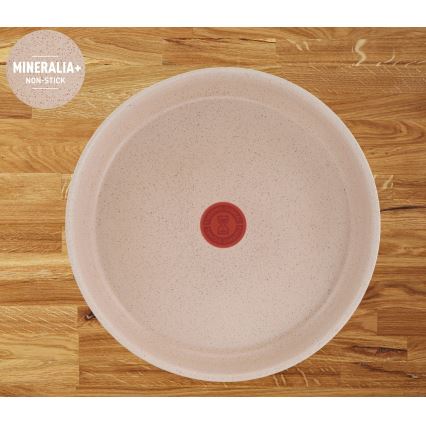 Tefal - 6-dijelni set posuđa INGENIO DELIGHT