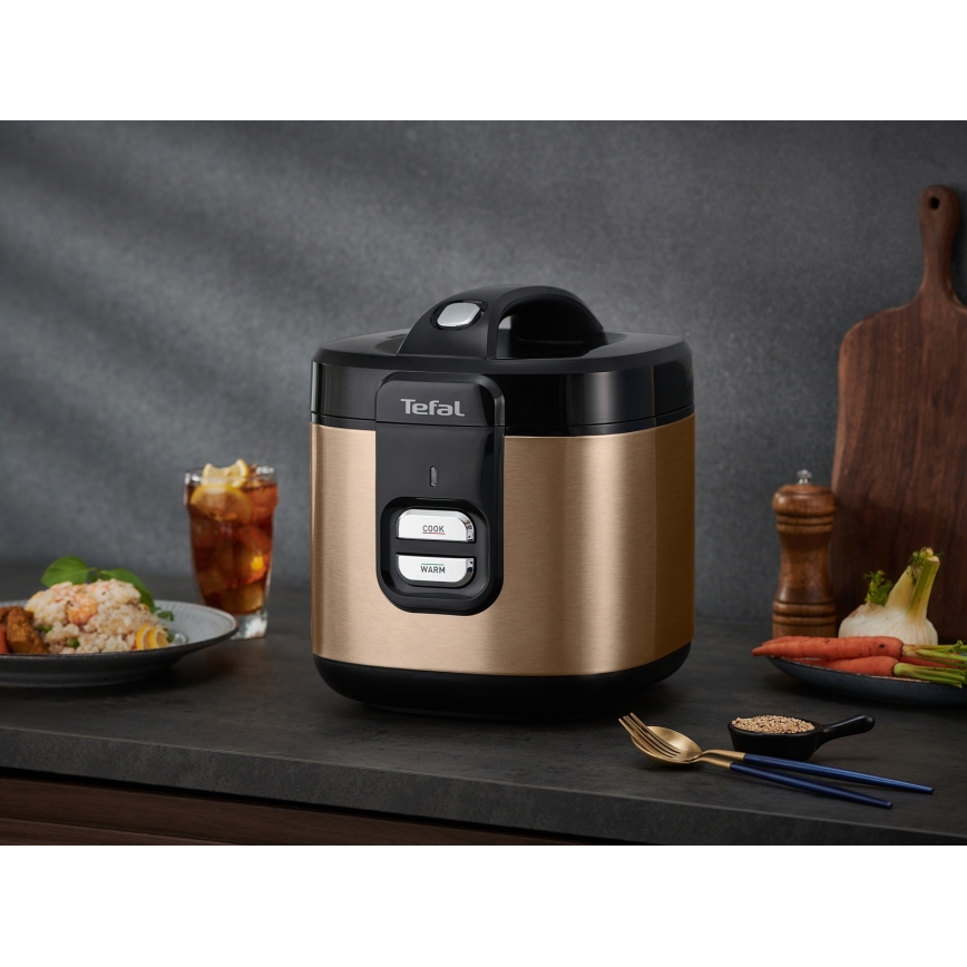 Tefal - Bakreno kuhalo za rižu COPPERTINTO 600/230V 2 l