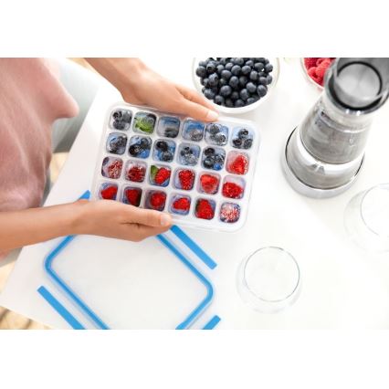 Tefal - Kalup za led 24 kocke MASTER SEAL plava