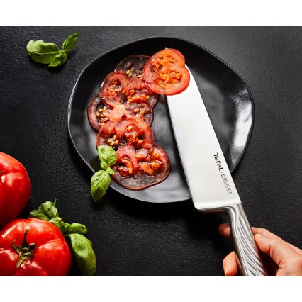 Tefal - Komplet kuhinjskih noževa PRECISION, 3 kom.