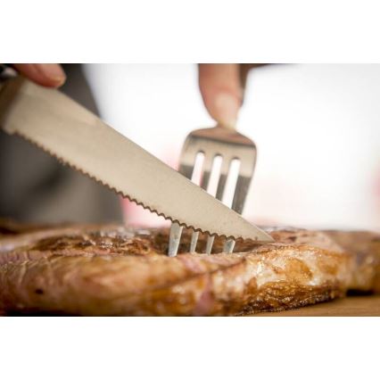 Tefal - Set od 4 noža za steak od nehrđajućeg čelika ICE FORCE, 11 cm, sjajni krom/crna