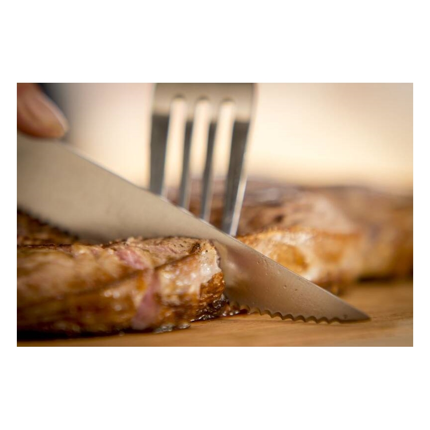 Tefal - Set od 4 noža za steak od nehrđajućeg čelika ICE FORCE, 11 cm, sjajni krom/crna