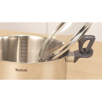 Tefal - Lonac s poklopcem DAILY COOK 20 cm