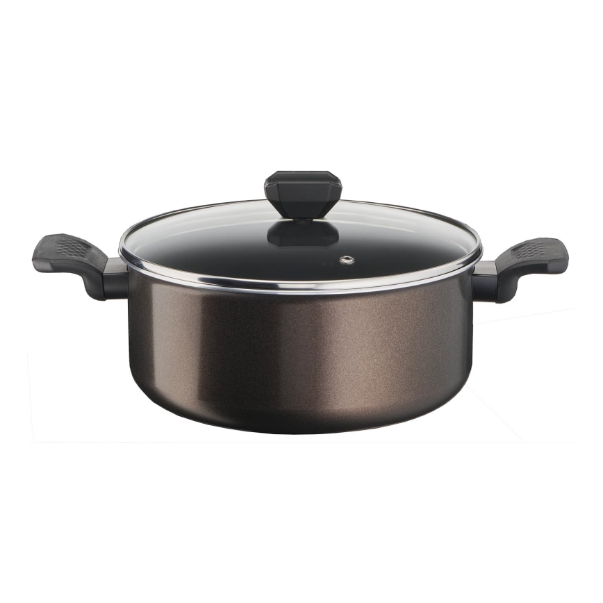 Tefal - Lonac s poklopcem EASY COOK & CLEAN 24 cm