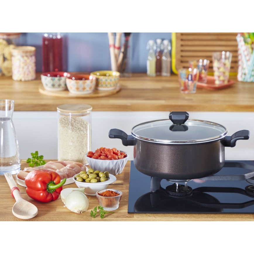 Tefal - Lonac s poklopcem EASY COOK & CLEAN 24 cm