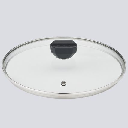 Tefal - Lonac s poklopcem EASY COOK & CLEAN 24 cm