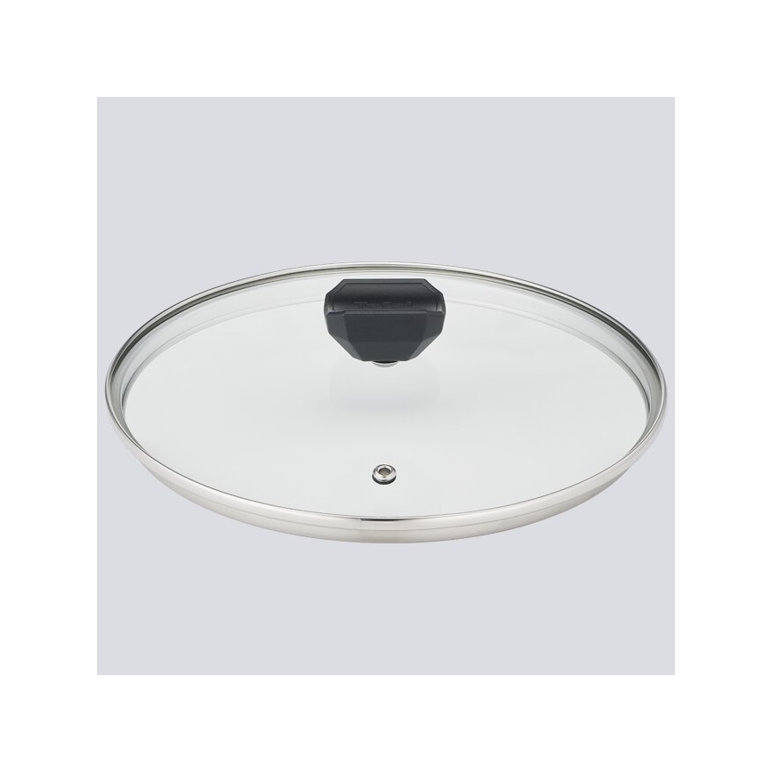 Tefal - Lonac s poklopcem EASY COOK & CLEAN 24 cm