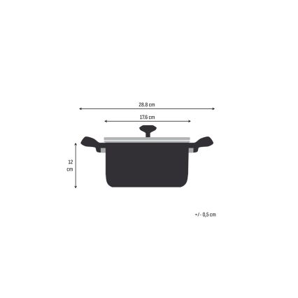 Tefal - Lonac s poklopcem EXTREME 16 cm