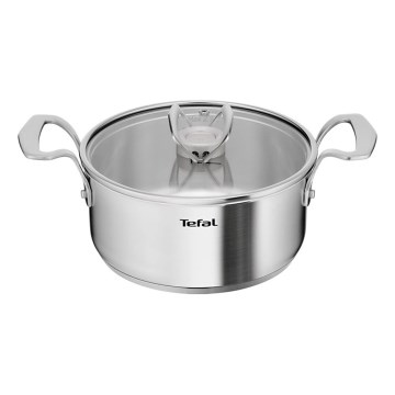 Tefal - Lonac s poklopcem EXTREME 20 cm