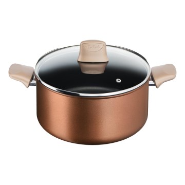 Tefal - Lonac s poklopcem RESPECT promjera 24 cm