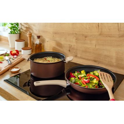 Tefal - Lonac s poklopcem RESPECT promjera 24 cm