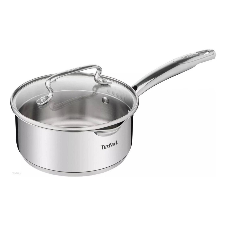 Tefal - Lonac za umake s poklopcem DUETTO 18 cm