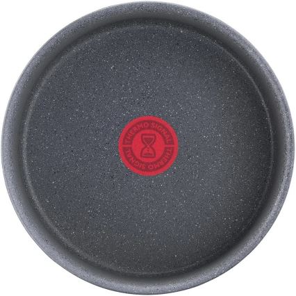 Tefal - Lončić INGENIO NATURAL FORCE 20 cm