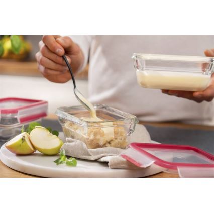 Tefal - Posuda za hranu 0,45 l MSEAL GLASS crvena/staklo
