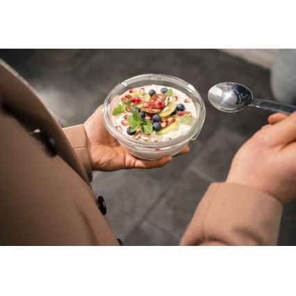 Tefal - Posuda za hranu 0,6 l MSEAL GLASS crvena/staklo