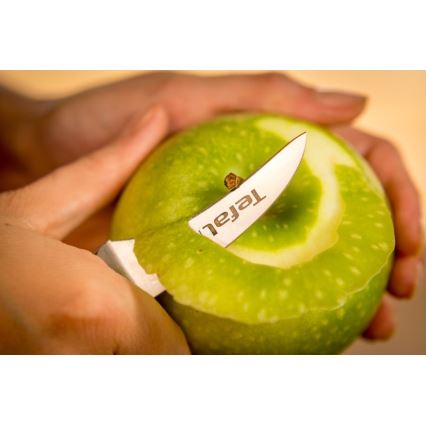 Tefal - Nehrđajući nož za rezbarenje ICE FORCE 7 cm sjajni krom/crna