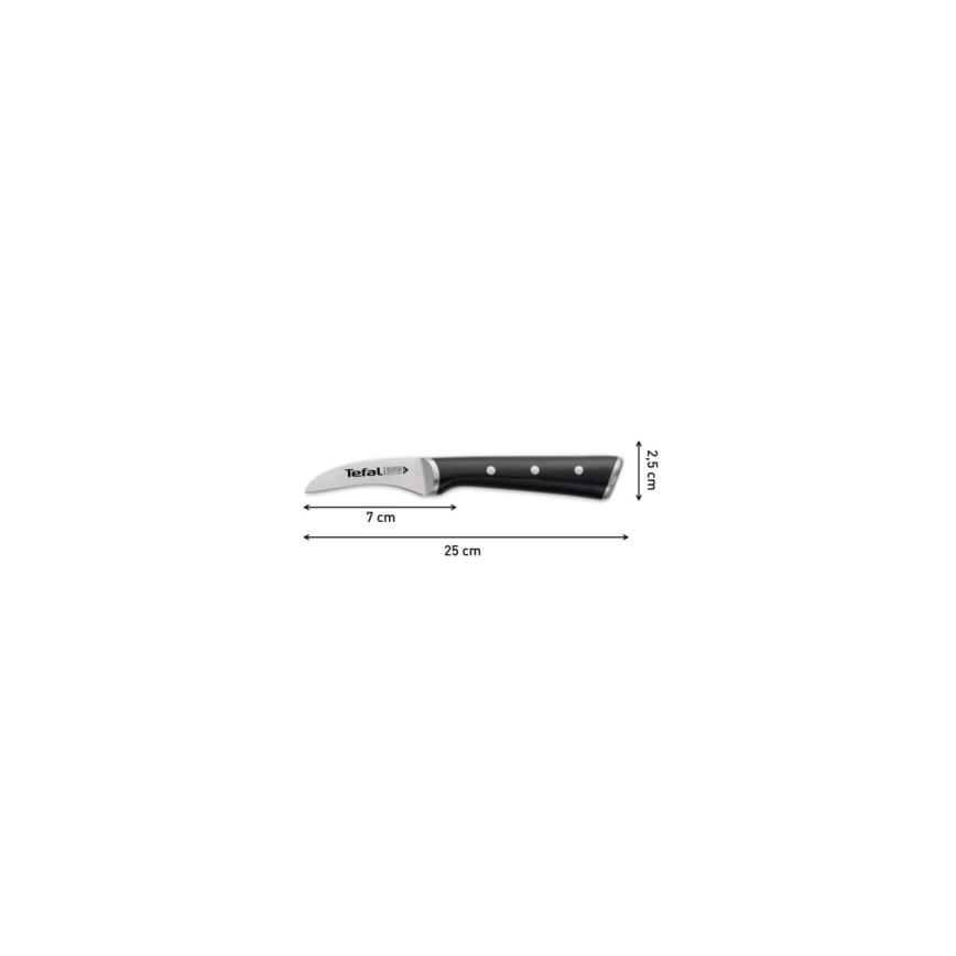 Tefal - Nehrđajući nož za rezbarenje ICE FORCE 7 cm sjajni krom/crna