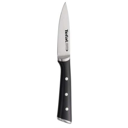 Tefal - Nehrđajući nož za rezbarenje ICE FORCE 9 cm sjajni krom/crna