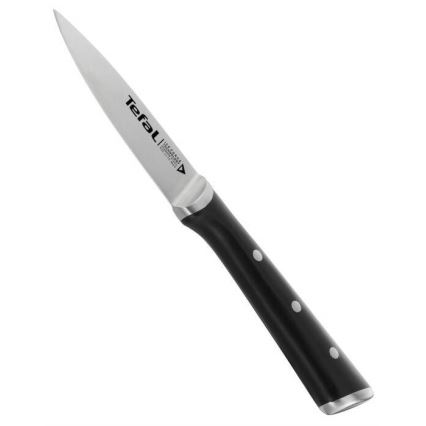 Tefal - Nehrđajući nož za rezbarenje ICE FORCE 9 cm sjajni krom/crna