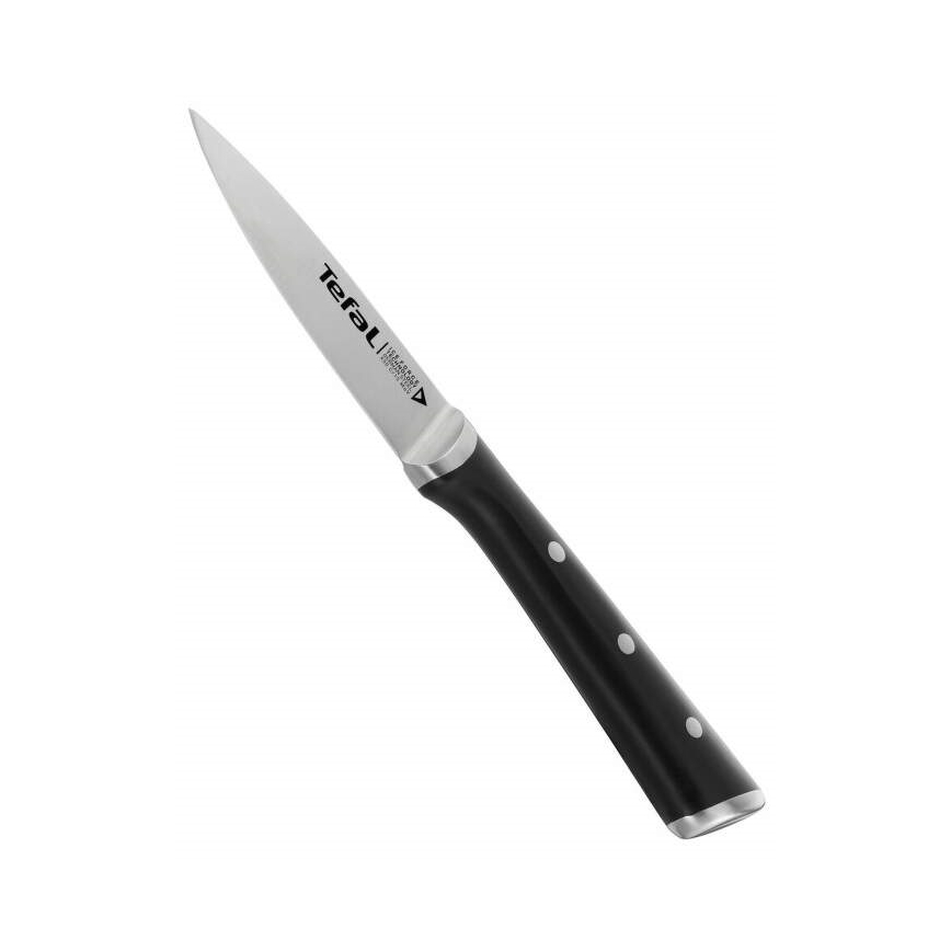 Tefal - Nehrđajući nož za rezbarenje ICE FORCE 9 cm sjajni krom/crna