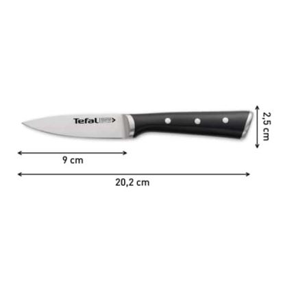 Tefal - Nehrđajući nož za rezbarenje ICE FORCE 9 cm sjajni krom/crna