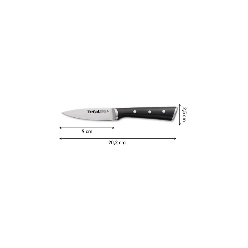 Tefal - Nehrđajući nož za rezbarenje ICE FORCE 9 cm sjajni krom/crna