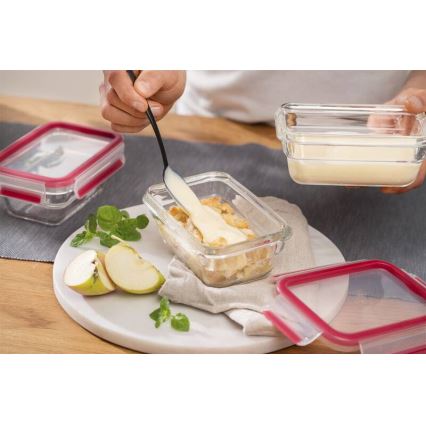 Tefal - Posuda za hranu 1,1 l MSEAL GLASS crvena/staklena